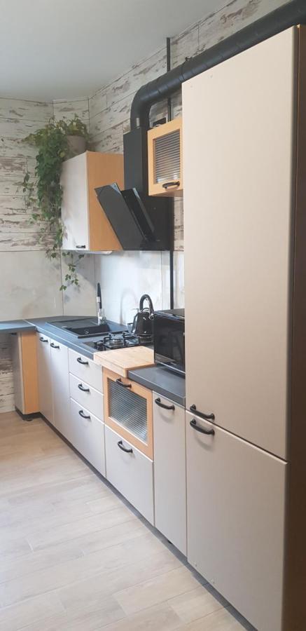 Dailidziu Apartamentai クライペダ エクステリア 写真