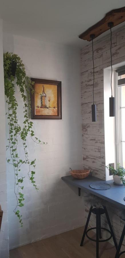 Dailidziu Apartamentai クライペダ エクステリア 写真